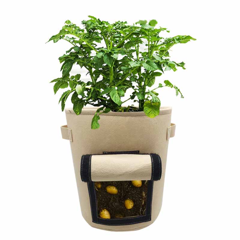felt planter bags